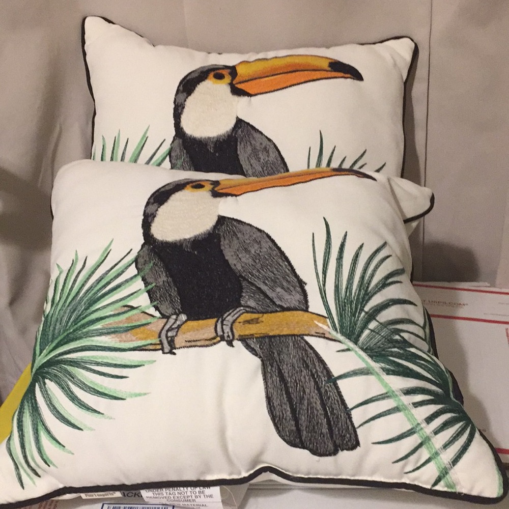 Pier 1 set 2 pillows size 16 inches New